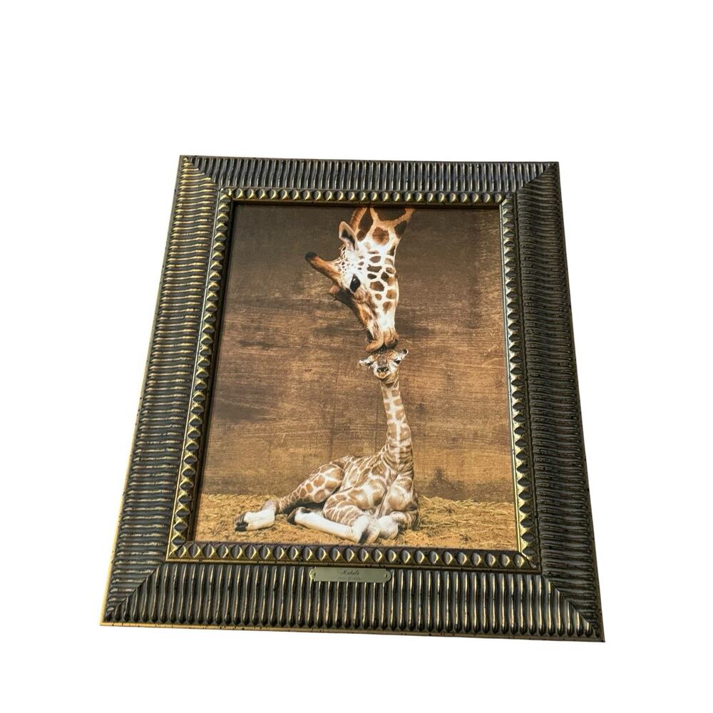 Design Toscano First Kiss Giraffe Framed Art Ron Draine Safari Nursery Decor